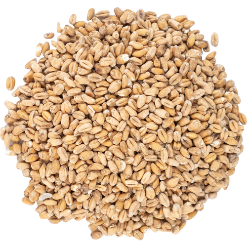 TrigoWheat Malt - Weyermann - Panama Brewers Supply